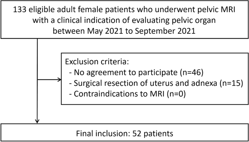 DL適用前後の比較画像